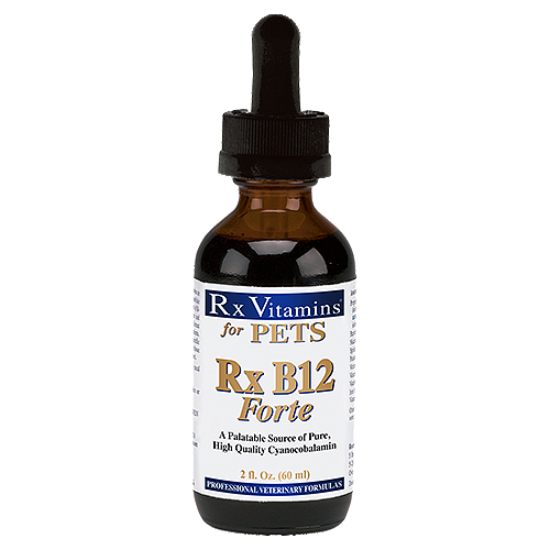 Rx B12 Forte for Pets