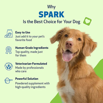 SPARK - Daily Nutritional Greens Supplement for Dogs, 100g - Image 4