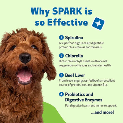 SPARK - Daily Nutritional Greens Supplement for Dogs, 100g - Image 5
