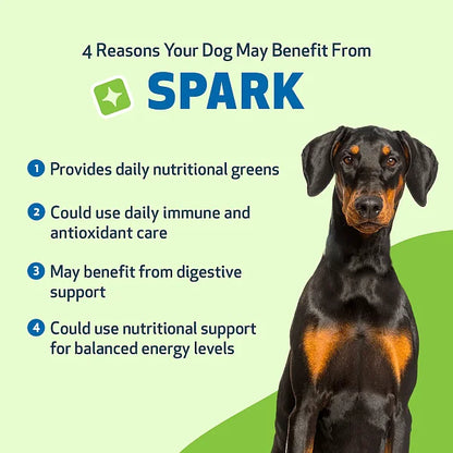 SPARK - Daily Nutritional Greens Supplement for Dogs, 100g - Image 6