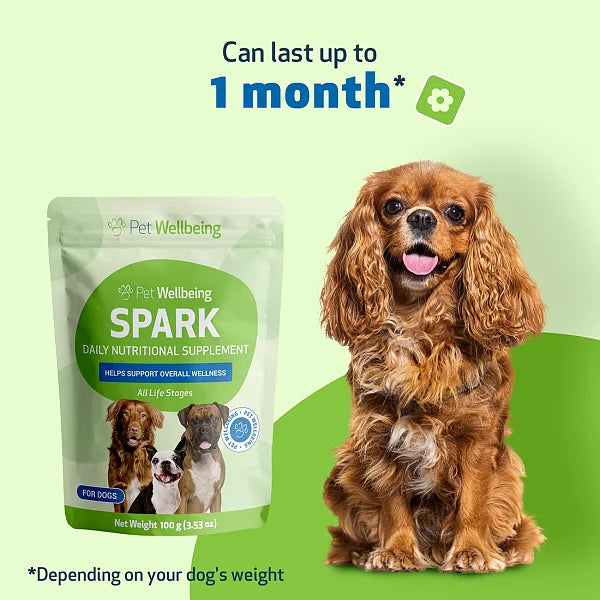 SPARK - Daily Nutritional Greens Supplement for Dogs, 100g - Image 3