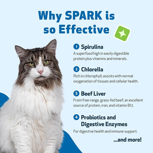 SPARK - Daily Nutritional Greens Supplement for Cats, 100g - Image 3