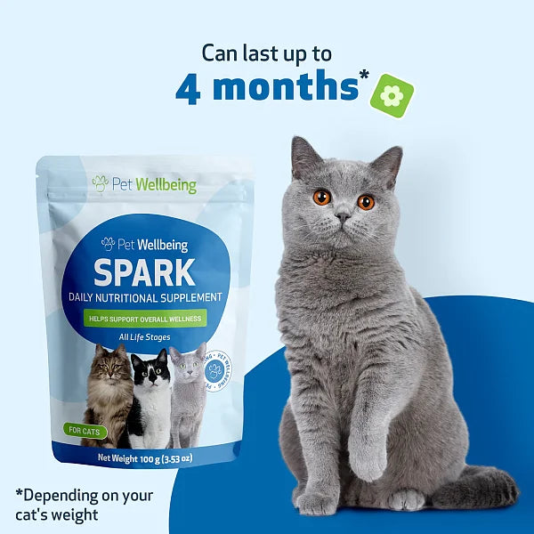 SPARK - Daily Nutritional Greens Supplement for Cats, 100g - Image 4