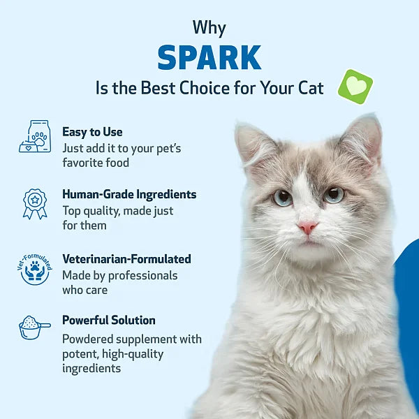 SPARK - Daily Nutritional Greens Supplement for Cats, 100g - Image 5