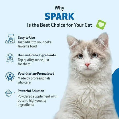 SPARK - Daily Nutritional Greens Supplement for Cats, 100g - Image 5