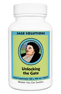 Unlocking The Gate