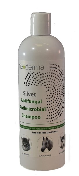 Silvet Antifungal Antimicrobial Shampoo, 16oz