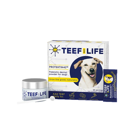 Protektin42 Powder Dental Kit for Dogs, 1pk