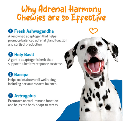 Adrenal Harmony Chewies, 90ct - Image 5
