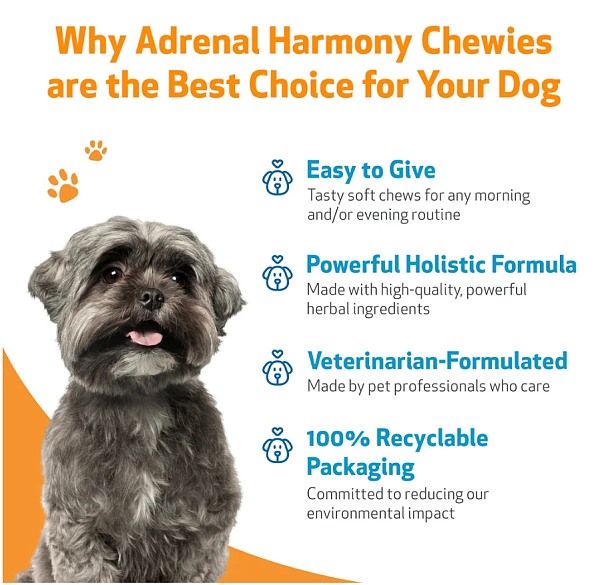 Adrenal Harmony Chewies, 90ct - Image 4