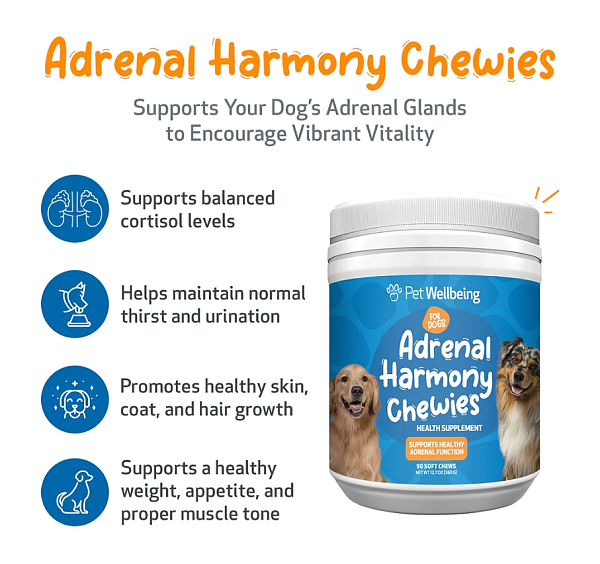 Adrenal Harmony Chewies, 90ct - Image 2