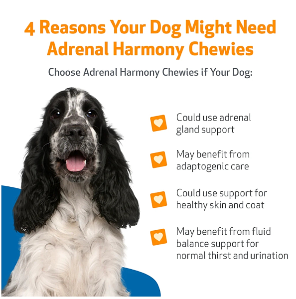 Adrenal Harmony Chewies, 90ct - Image 3