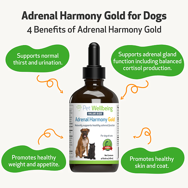 Adrenal Harmony Gold for Dogs, 4oz - Image 4