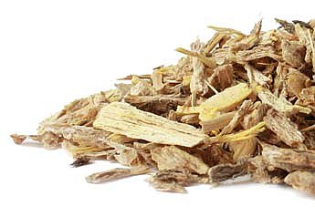 Angelica (Angelica archangelica), Organic