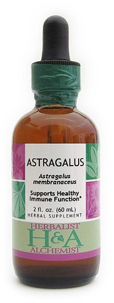 Astragalus Extract, 1 oz.