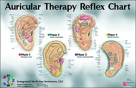 Auricular Therapy Reference Chart