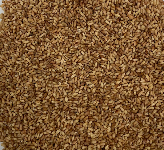 Bai Zi Ren, 1lb