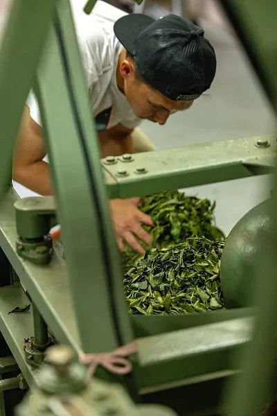 2025 Competition Baozhong Oolong Tea, 50g - Image 10