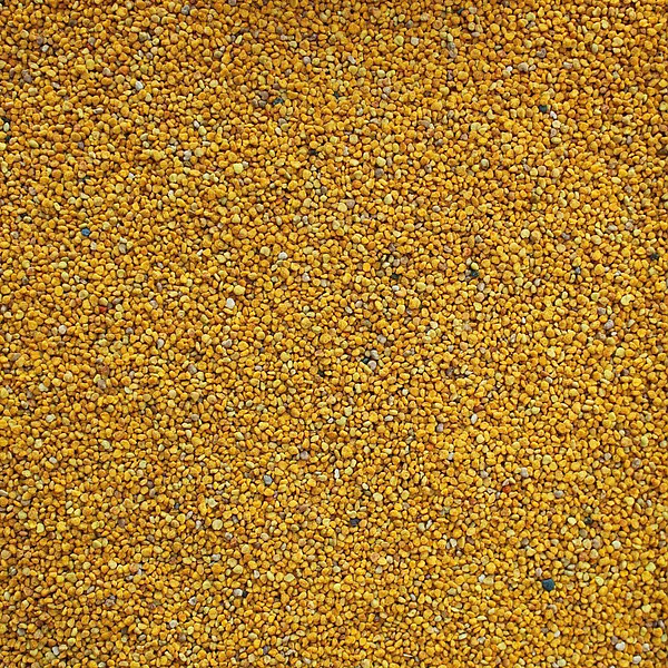 Golden Needle Products