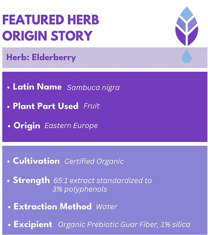 Bold Elderberry Elixir, 4oz - Image 4