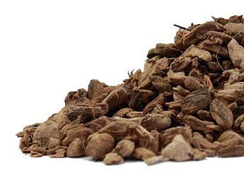 Calamus Root (Acorus calamus) Certified Organic