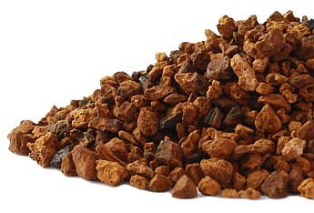 Chaga Mushroom, 1lb