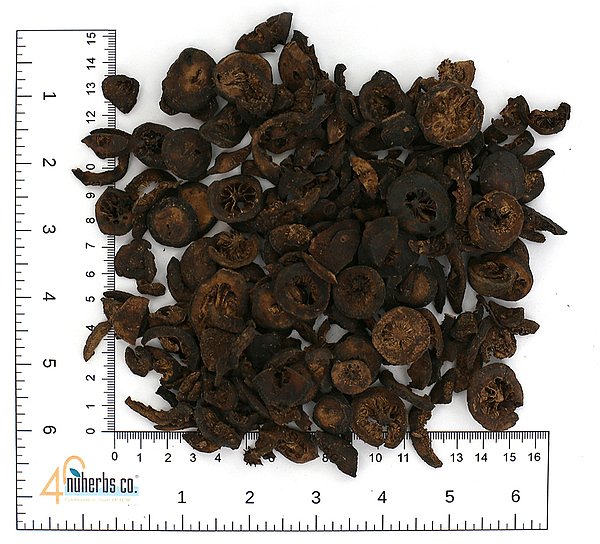 Zhi Shi (chao), 1lb