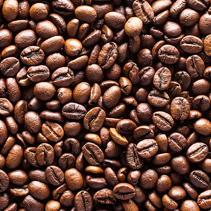 Premier Organic Sidama Coffee, 1lb - Image 2