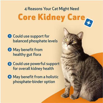 Core Kidney Care for Cats - Image 3