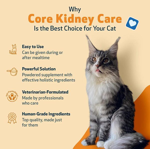 Core Kidney Care for Cats - Image 4