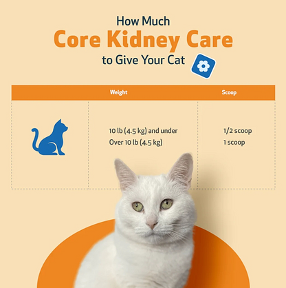 Core Kidney Care for Cats - Image 7