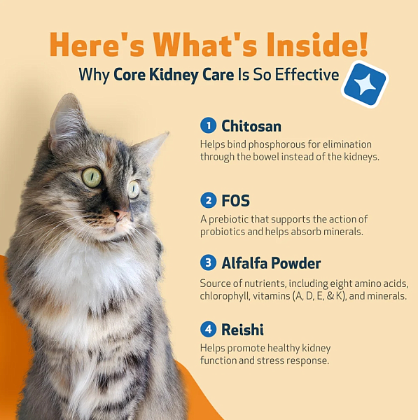 Core Kidney Care for Cats - Image 5