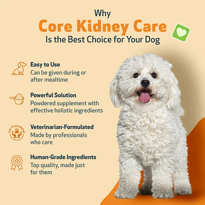 Core Kidney Care for Dogs - Image 5