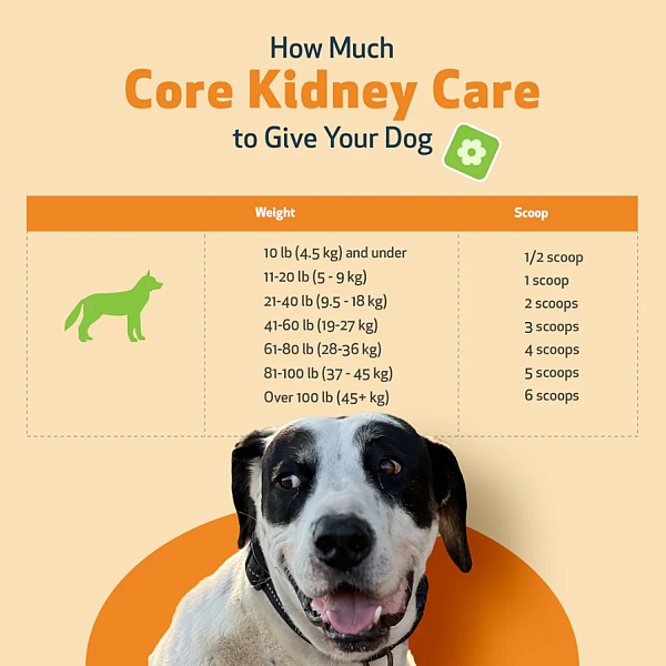 Core Kidney Care for Dogs - Image 7
