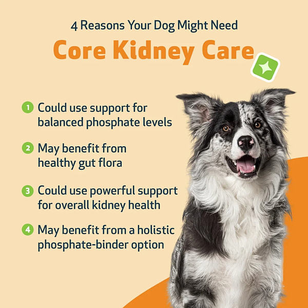 Core Kidney Care for Dogs - Image 2
