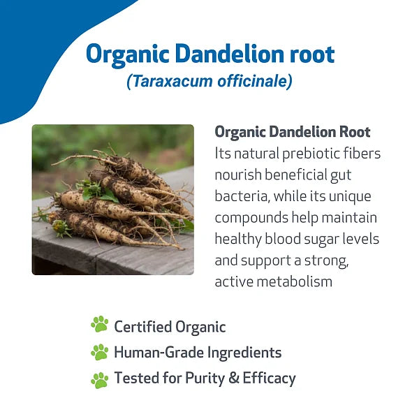 Dandelion Root for Cats, 2oz - Image 3