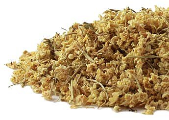 Elder Flower (Sambucus nigra), Organic