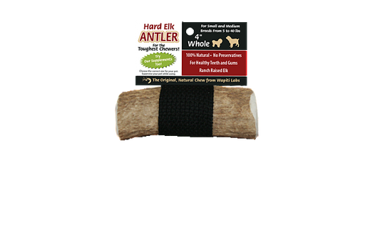 Elk Antler Chews 4inch, Whole