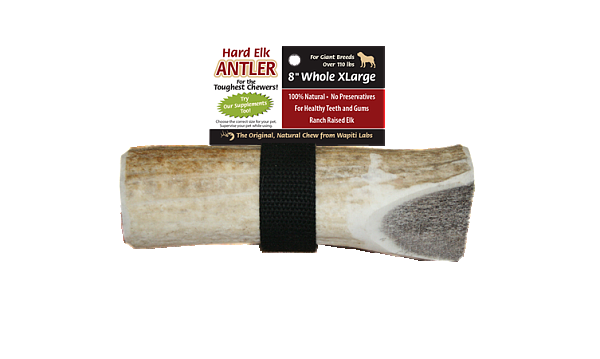 Elk Antler Chew 8inch XL, Whole