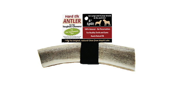 Elk Antler Chew 8inch, Split