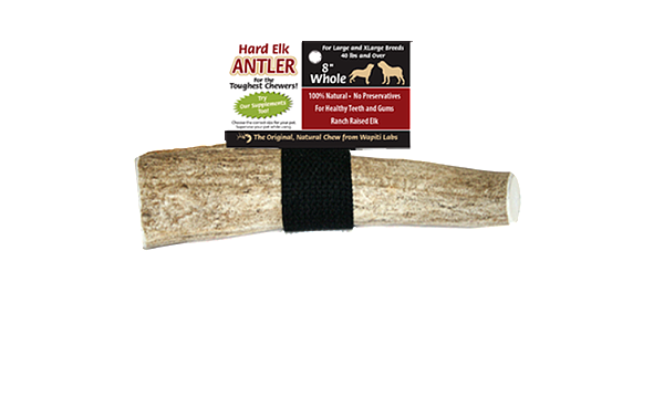 Elk Antler Chew 8inch, Whole