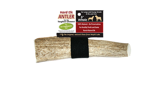 Elk Antler Chew 8inch, Whole