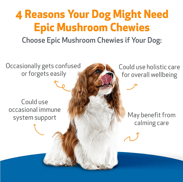 Epic Mushroom Chewies for Dogs, 90ct [ EXPIRES 11-2026 ] - Image 2