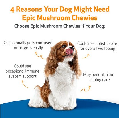 Epic Mushroom Chewies for Dogs, 90ct [ EXPIRES 11-2026 ] - Image 2