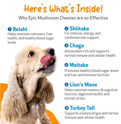 Epic Mushroom Chewies for Dogs, 90ct [ EXPIRES 11-2026 ] - Image 5