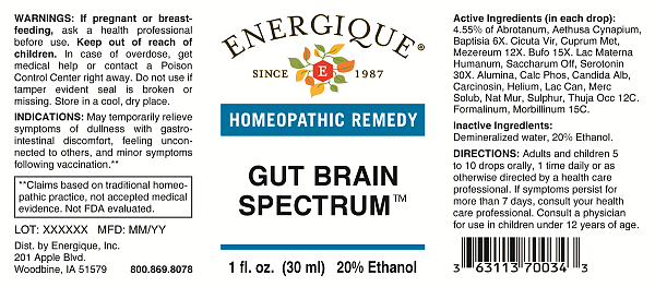 Gut Brain Spectrum - Image 2