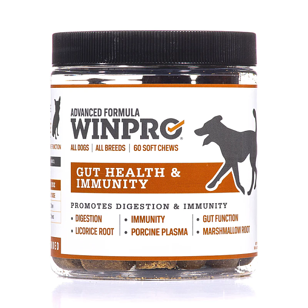 Gut Health & Immunity, 60 chews