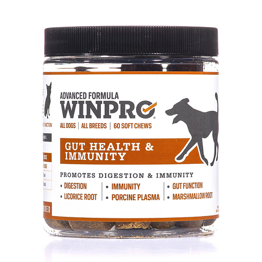 Gut Health & Immunity, 60 chews