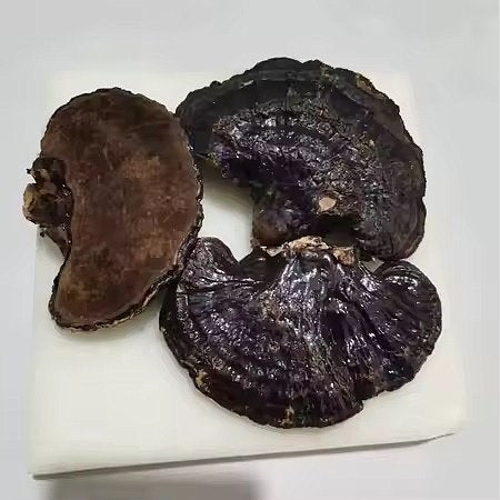 Hei Ling Zhi (whole) - Lab Tested, 1lb