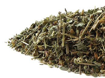 Holy Basil Tulsi Rama (Ocimum tenuiflorum) Organic